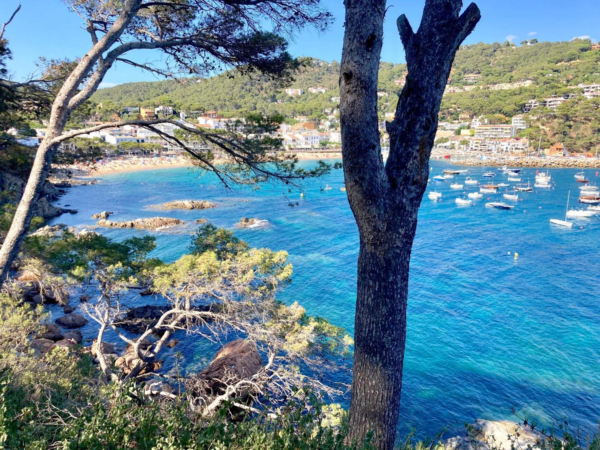 Apartment 1Llad01 - Llafranc Calella De Palafrugell Extérieur photo